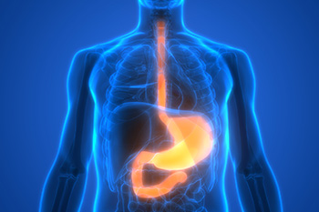 The digestive tract shown inside of a silhouette of a human body
