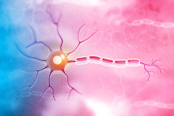 A close-up of human nerve endings